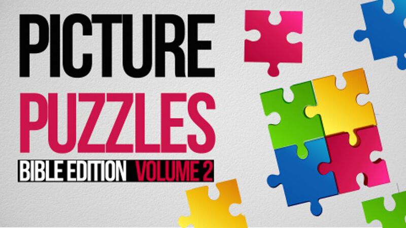 Picture Puzzles: Bible Edition Volume 2
